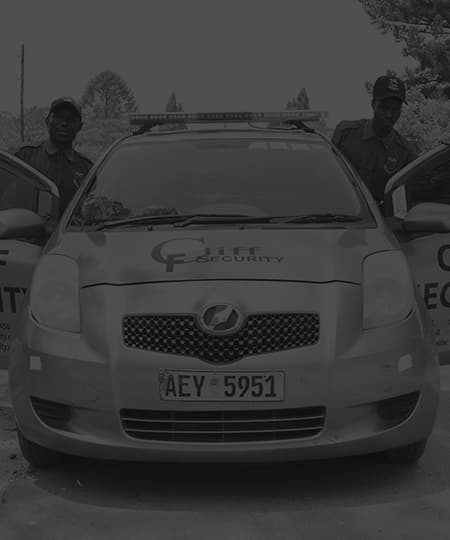 Mobile Patrol